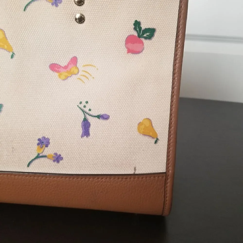 Coach Dreamy Veggie Dempsey Handbag